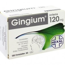 GINGIUM intens 120 mg Filmtabletten 120 St