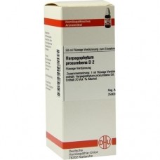 HARPAGOPHYTUM PROCUMBENS D 2 Dilution 50 ml