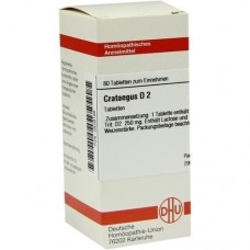 CRATAEGUS D 2 Tabletten 80 St