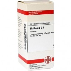 EICHHORNIA D 2 Tabletten 80 St