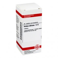 KALIUM NITRICUM D 12 Tabletten 80 St
