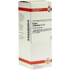 KALIUM CARBONICUM D 12 Dilution 50 ml