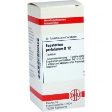 EUPATORIUM PERFOLIATUM D 12 Tabletten 80 St