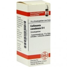 COLLINSONIA CANADENSIS D 4 Globuli 10 g