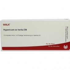 HYPERICUM EX Herba D 6 Ampullen 10X1 ml