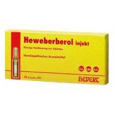 HEWEBERBEROL injekt Ampullen 100 St